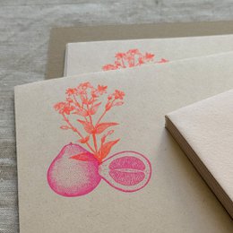 Cream colored stationery set with pink pomelo fruit and botanical plant illustration, A5 size envelopes.