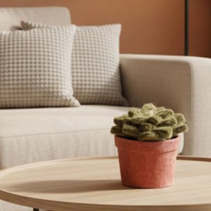 Small Succulent in Felt Pot – New Heidi Artisan Decoration