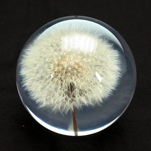 Ball paperweight Dandelion, glass resin