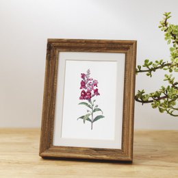 Botaniczny Art Print Mix x16 | Vintage ilustracja kwiat | Dekoracje ścienne