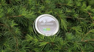 Abis Canigo & Organic Propolis