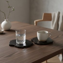 Organic Petrified Wood Coaster
