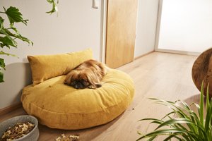 LUNA LOUNGE SET - TUDOR Gold