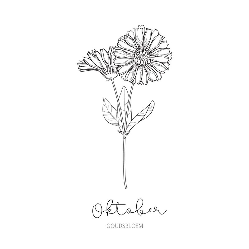 Geburts-Blumenfliese | September