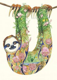 A colorful illustration depicting a sloth hanging from a branch, surrounded by lush foliage and other wildlife elements. The sloth appears to be the central focus of the image.