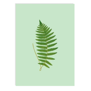 Postkarte Fern
