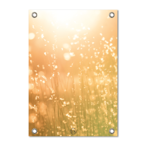 Gartenplakat helle Sonne