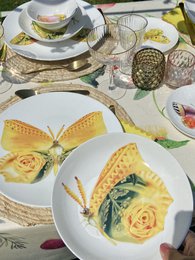 La dolce vita di una farfalla - Piatti Maxi