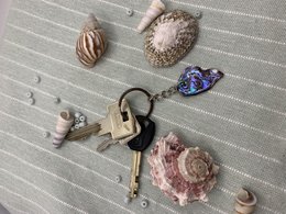 Unique abalone shell keyring accessory featuring a variety of natural seashells in various shapes, colors, and textures. Ideal for ocean lovers.