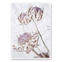 Artichoke open wall art in various sizes and materials, featuring a close-up image of a purple artichoke flower against a white background.