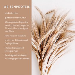 Startset biologische shampoo, conditioner, hand & body wash inclusief navulglazen flesjes