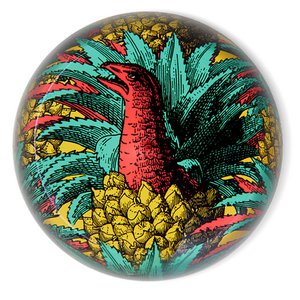 Presse-papier van Anananosaurus