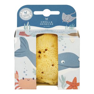 Baby care sea sponge gift box