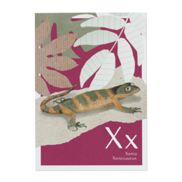 A colorful alphabet card featuring the letter "X" and an image of a small lizard-like animal, likely a Xenosaurus, against a pink and white leaf-patterned background.