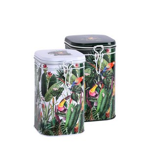 Eigenart Case RAINFOREST, 250gr, 2 designs mixed
