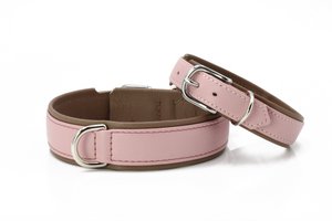 AMICI - Stilvolles Nappa-Halsband für modebewusste Hundefreunde