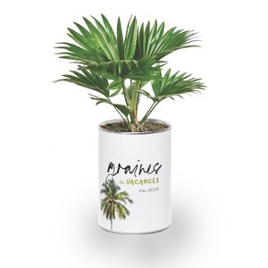 Holiday seeds - white range