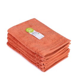 ARTG® Organic Gastendoek