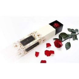 Long-stemmed red rose in a gift box, available in black, cream, and white color variants.