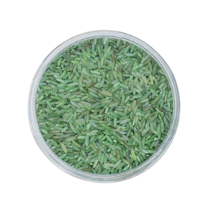 Reis spielen | Waldgrün