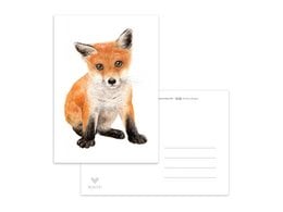 A postcard featuring a close-up image of a red fox. The fox has a vibrant orange-red fur coat, pointed ears, and a curious expression.