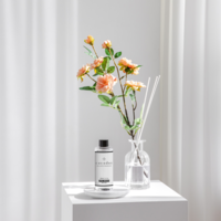 Cocodor 200ml Refills