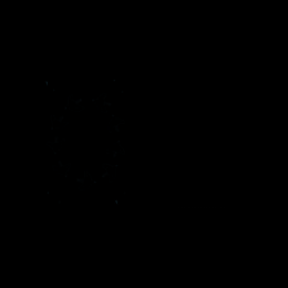 Kartenvögel