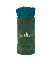 Colección Terciopelo Verde