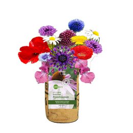 Colorful assortment of butterfly flowers in a nursery garden container. Includes a variety of vibrant blooms in shades of purple, orange, and yellow.