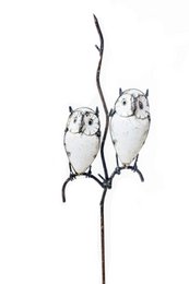  Two white owls perched on a metal stick.