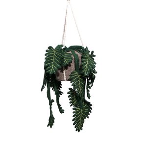 Plant Philo