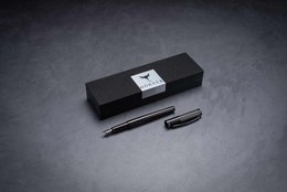 Penna stilografica fortezza