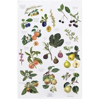 Organic tea towel - Fruit