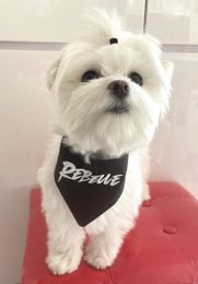 Bandana réversible "rebelle" noir & blanc