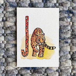 Schede animali ABC (formato A6)