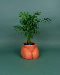 CACHE POT - GROßE BUMPER