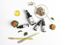 Aqua+ Oil Primer: naprawa i odnawianie