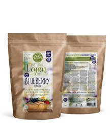 VEGAN PROTEIN BLUEBERRY