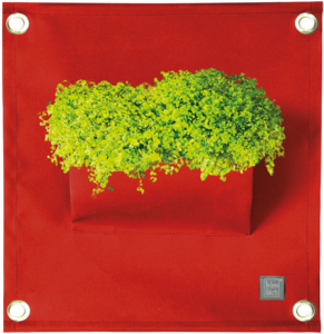 The Green Pockets® AMMA Dark Red