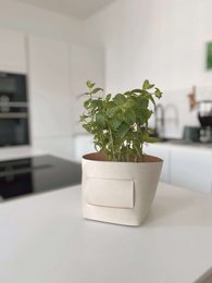 Small square basket made of oak wood, available in cloudy gray, mint leaf, ivory coast, and nordic pine colors. Suitable for storage and decor.