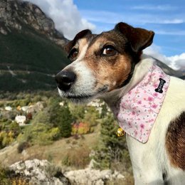 Dwustronna chustka "la vie en rose" liberty/różowa