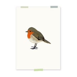 A colorful illustration of a robin bird with a red breast and brown feathers.