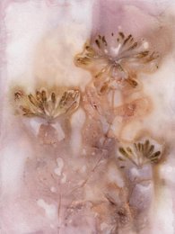 A delicate, ethereal floral wall art piece featuring soft, pastel-colored flowers with golden centers against a hazy, textured background.