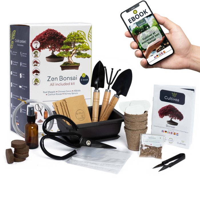 CULTIVEA Premium Bonsai Kit Ready to Grow - Garden and decorate - Care of  your bonsai and natural plants - Wire, Fertilizer, Tools, Round Scissors,  Small Bonsai Scissors - Original Gift Idea Online Wholesale | Orderchamp