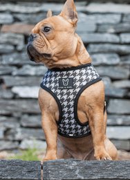 2-i-1 hundesele FK