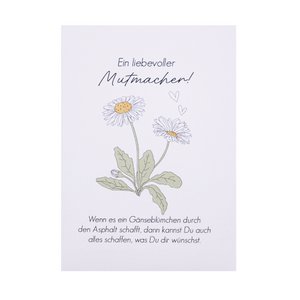 Gänseblümchen-Saat - Ein liebevoller Mutmacher für dich!