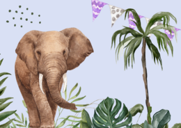 A set of blank jungle-themed birthday cards featuring an elephant and tropical foliage.