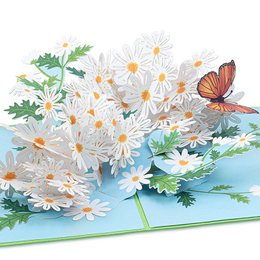 A pop-up birthday card featuring a vibrant display of white daisies, green leaves, and a colorful butterfly.