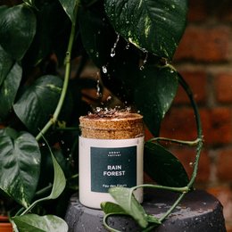 A tall, round scented candle in a glass jar with a cork lid. The label on the jar reads "Rain Forest" and indicates it is a 320 gram candle with a burn time of 60-80 hours.