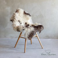 Mountain Sheep - Curly sheepskin